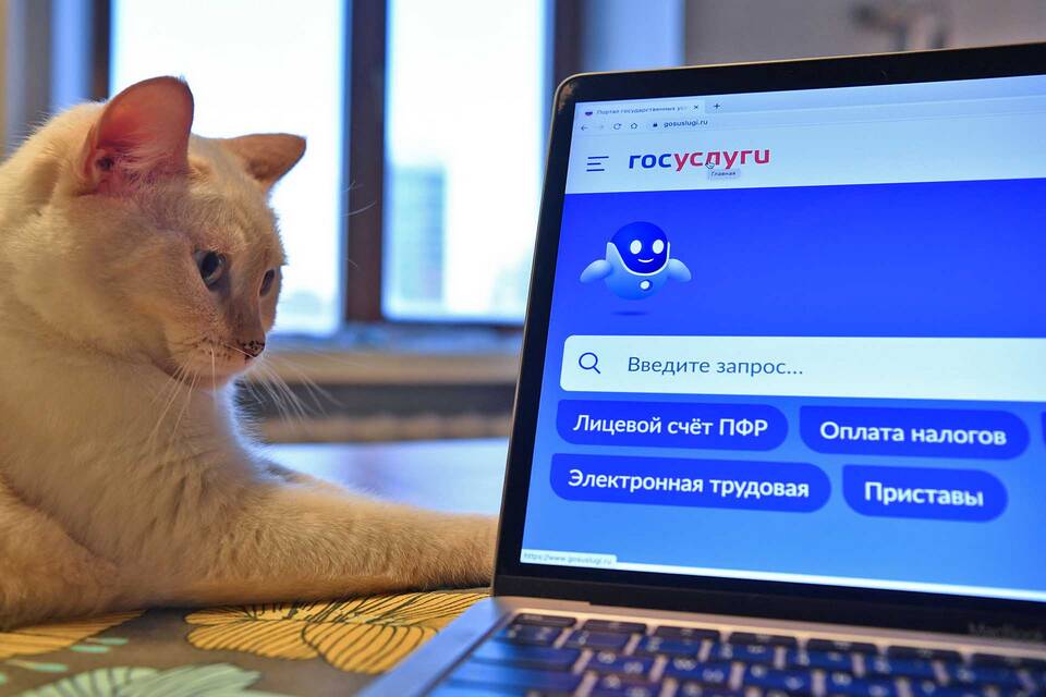 Как сделать выписку из Госуслуг