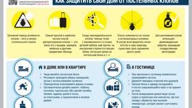 Чем самостоятельно вывести клопов в Слата