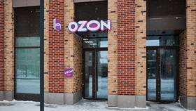 Ежедневный доход Ozon: что это в Слата