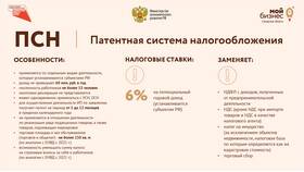 ИП на патенте: какие налоги платить в Слата