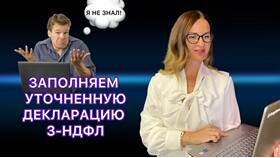 Как отменить поданную декларацию 3-НДФЛ в Слата