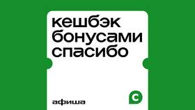 Как потратить кэшбэк от Сбербанка в Слата