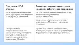 Как правильно вести самозанятость в Слата