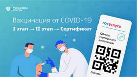 Как сканировать QR-код на Госуслугах в Слата