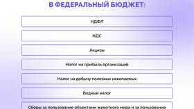 Как взыскиваются налоги в Слата