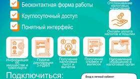 Штраф от Казначейства: за что могут наложить взыскание