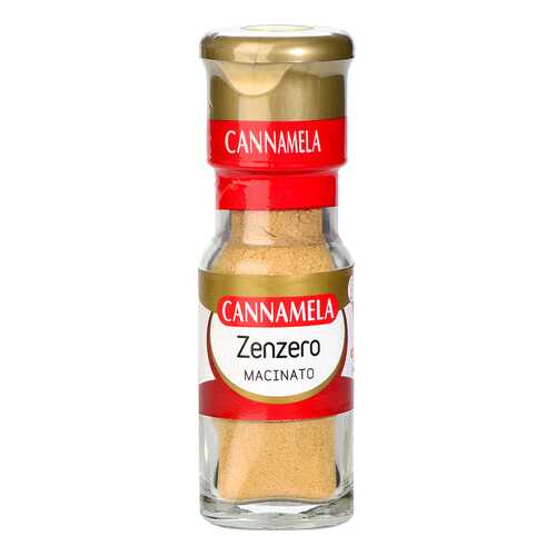 Приправа Cannamela имбирь молотый 20 г в Слата