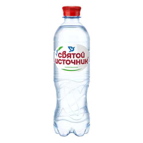Вода СВЯТОЙ ИСТОЧНИК газ пэт 0,5л*12 шт в Слата