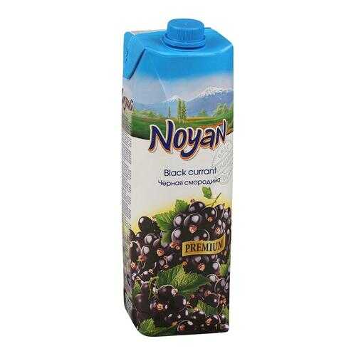 Черная смородина-виноград нектар Noyan premium 1 л в Слата